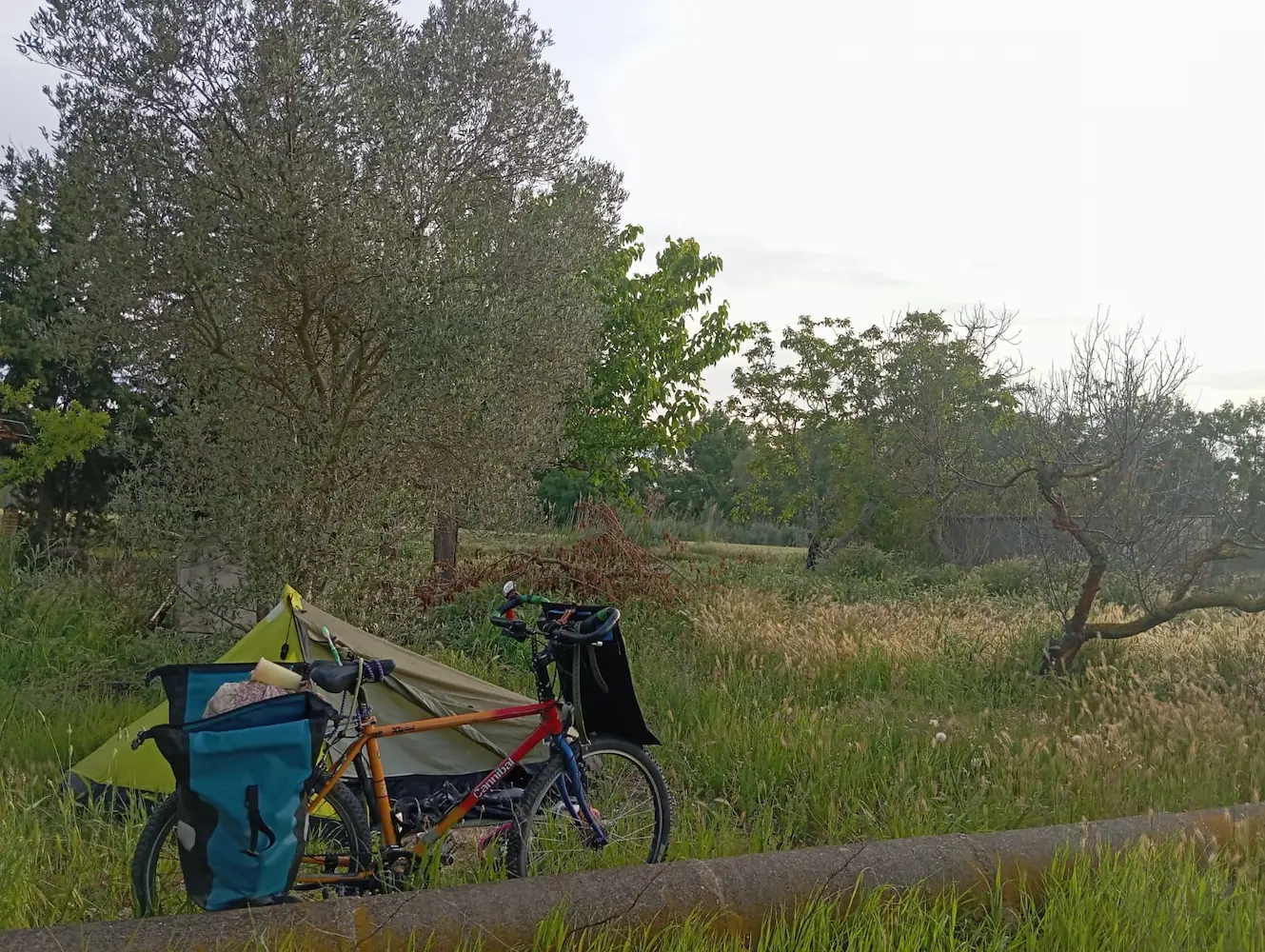 ana pio bicicleta